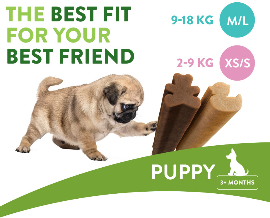 Puppy Size Reference - Shows images of different sized dogs